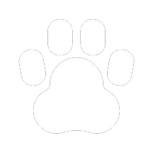 Animals & Pet Supplies